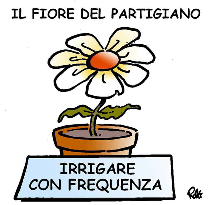 il_fiore_del_partigiano.JPG